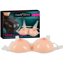 Protheses Mammaires en...