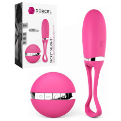 Oeuf Télécommandé Secret...