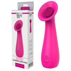 Stimulateur Rechargeable...