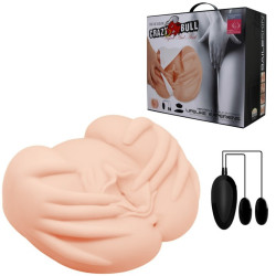 Fessier Vibrant Cray Bull