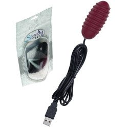 Oeuf Vibrant Filaire USB en...