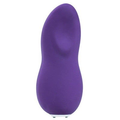 Stimulateur We-Vibe Touch