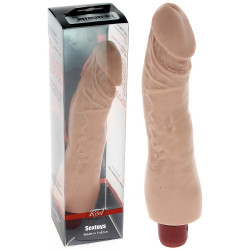 Vibromasseur Michel Reel...